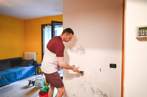 Best Office Mold Removal Services  in Delmar, MD